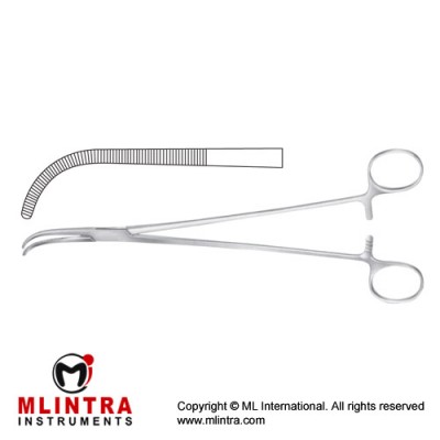 Mixter Dissecting and Ligature Forcep Curved Stainless Steel, 22.5 cm - 8 3/4"